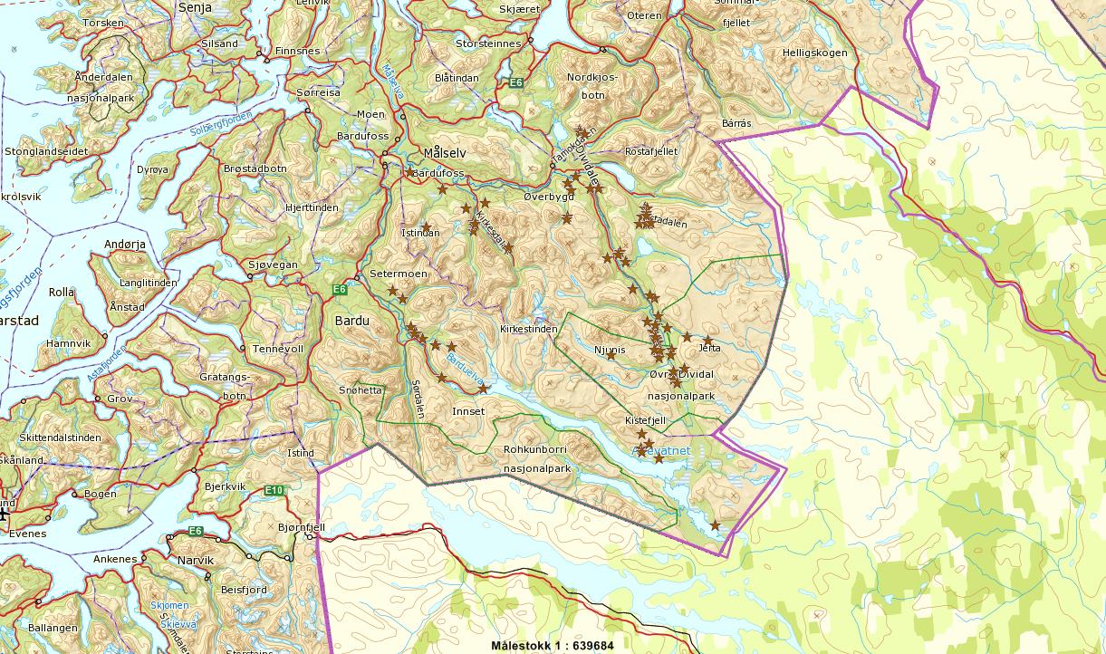 Side 2 Figur 1. Fungerende DNA prøver fra bjørn i Troms for 2013 vist med brune stjerner (kilde Rovbasen).