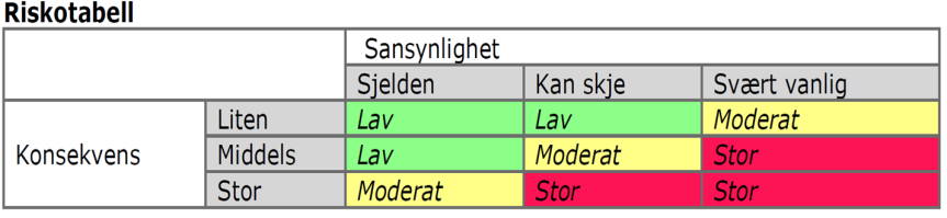 Eksempel på risikovurdering Copyright