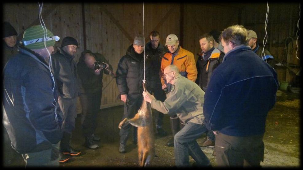 Pelsing og skinnbehandling Fellekurs Lokkekurs Åtejaktkurs