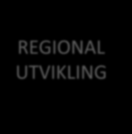 Brukere av kontoret Regionale og lokale myndigheter Næringsliv REGIONAL UTVIKLING FoU Europakontoret har blitt et