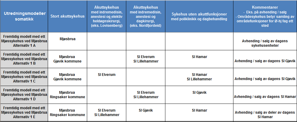 Innspillsdokument: Fremtidig