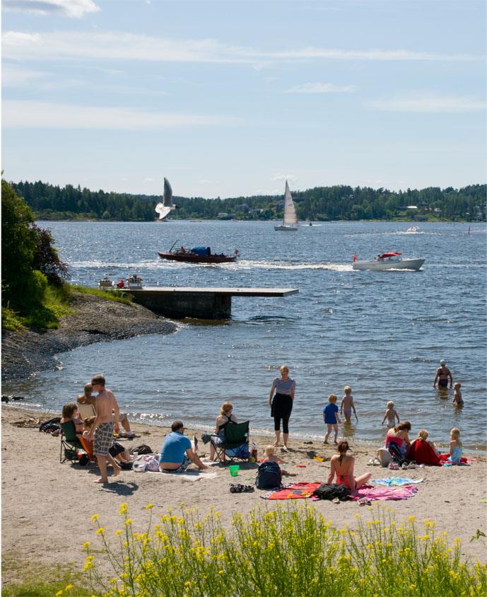 Bakgrunn for pilotprosjektet