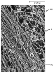 Cytosol i mange celler inneholder inklusjonslegemer som er korn som ikke er avgrenset av en membran - f.eks. glykogen som er en lagringsform for energi i dyreceller (Fig.