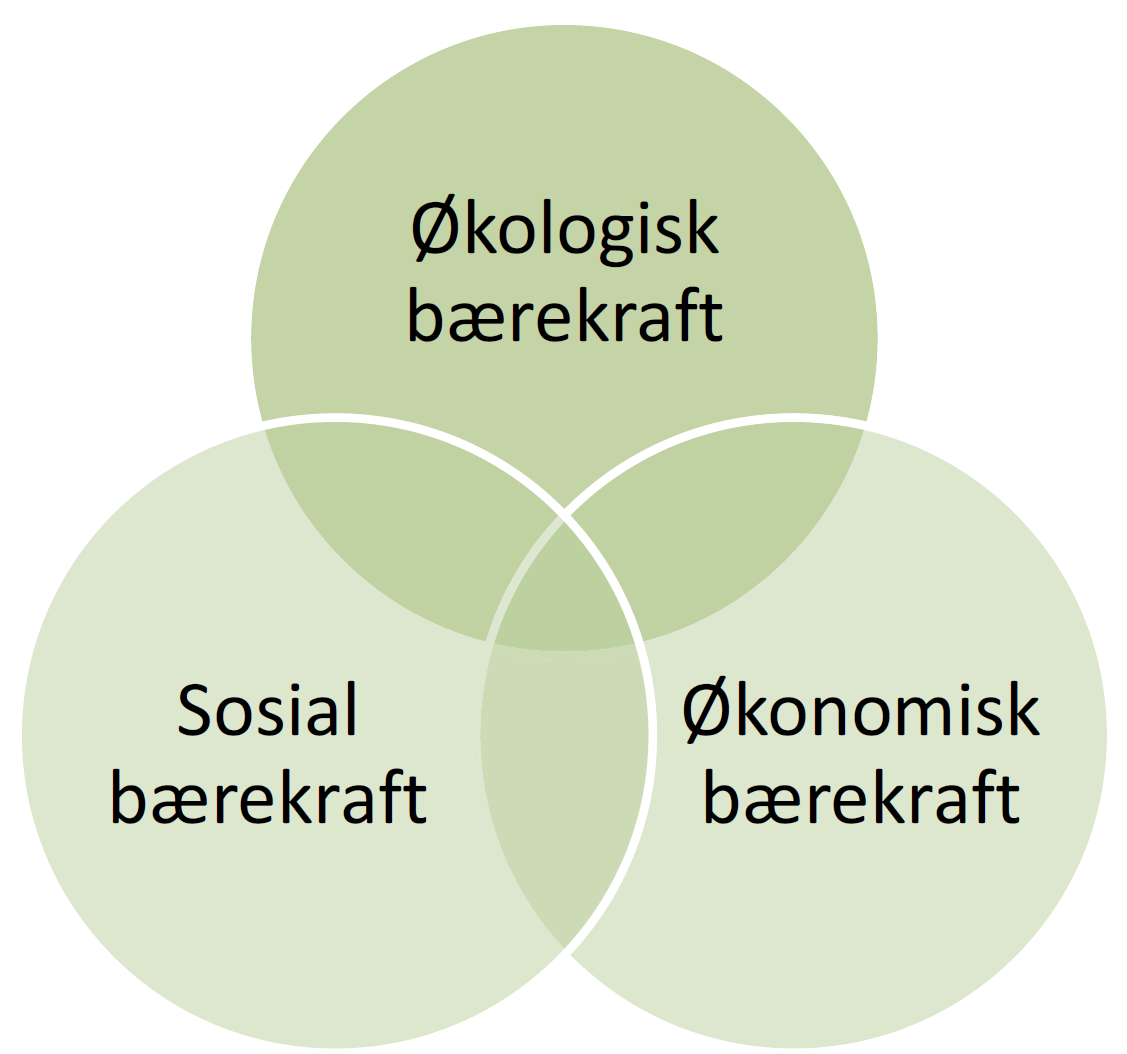 Bærekraft