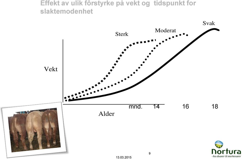 slaktemodenhet Sterk Moderat