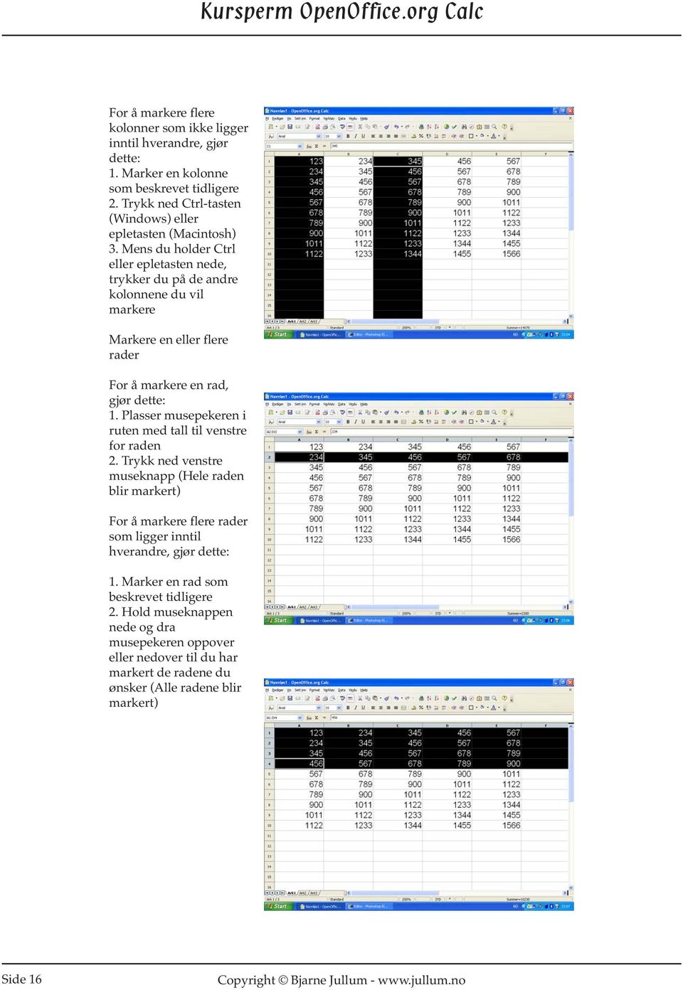 Mens du holder Ctrl eller epletasten nede, trykker du på de andre kolonnene du vil markere Markere en eller flere rader For å markere en rad, gjør dette: 1.