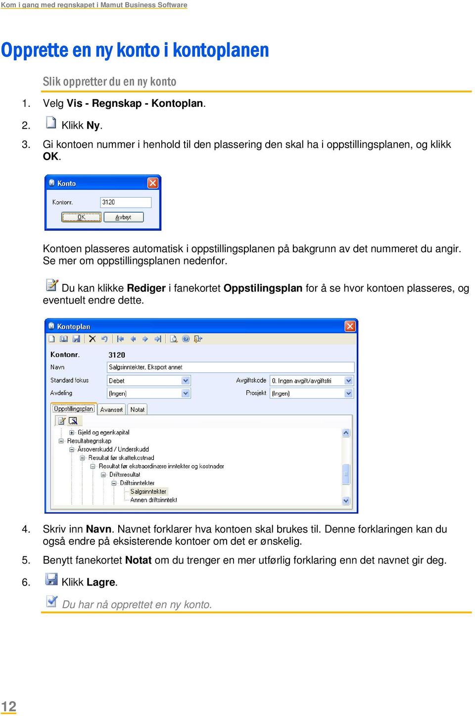 Se mer om oppstillingsplanen nedenfor..du kan klikke Rediger i fanekortet Oppstilingsplan for å se hvor kontoen plasseres, og eventuelt endre dette. 4. Skriv inn Navn.