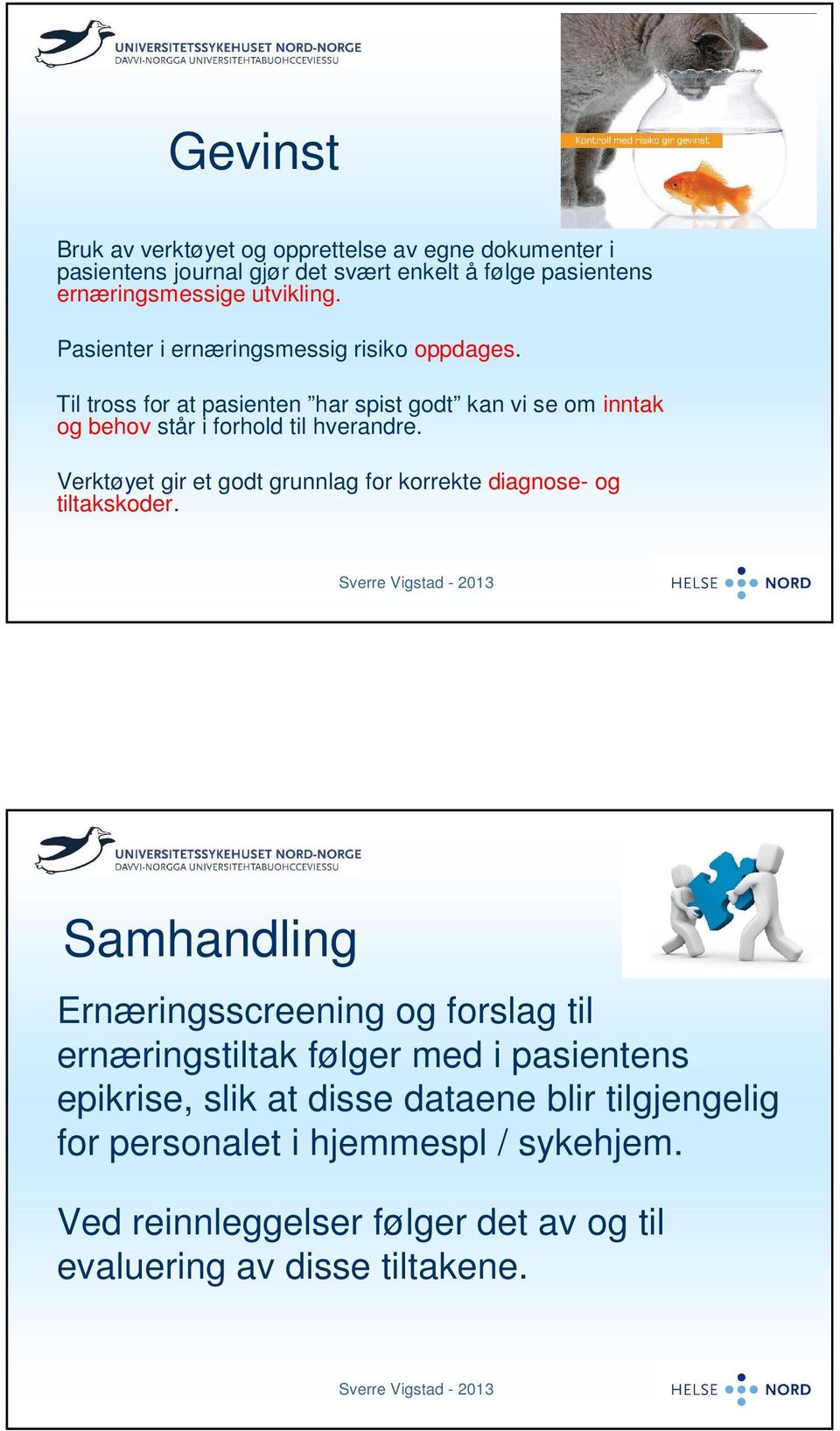 Verktøyet gir et godt grunnlag for korrekte diagnose- og tiltakskoder.