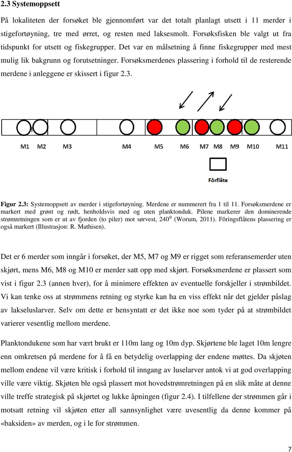 Forsøksmerdenes plassering i forhold til de resterende merdene i anleggene er skissert i figur 2.3. Figur 2.3: Systemoppsett av merder i stigefortøyning. Merdene er nummerert fra 1 til 11.