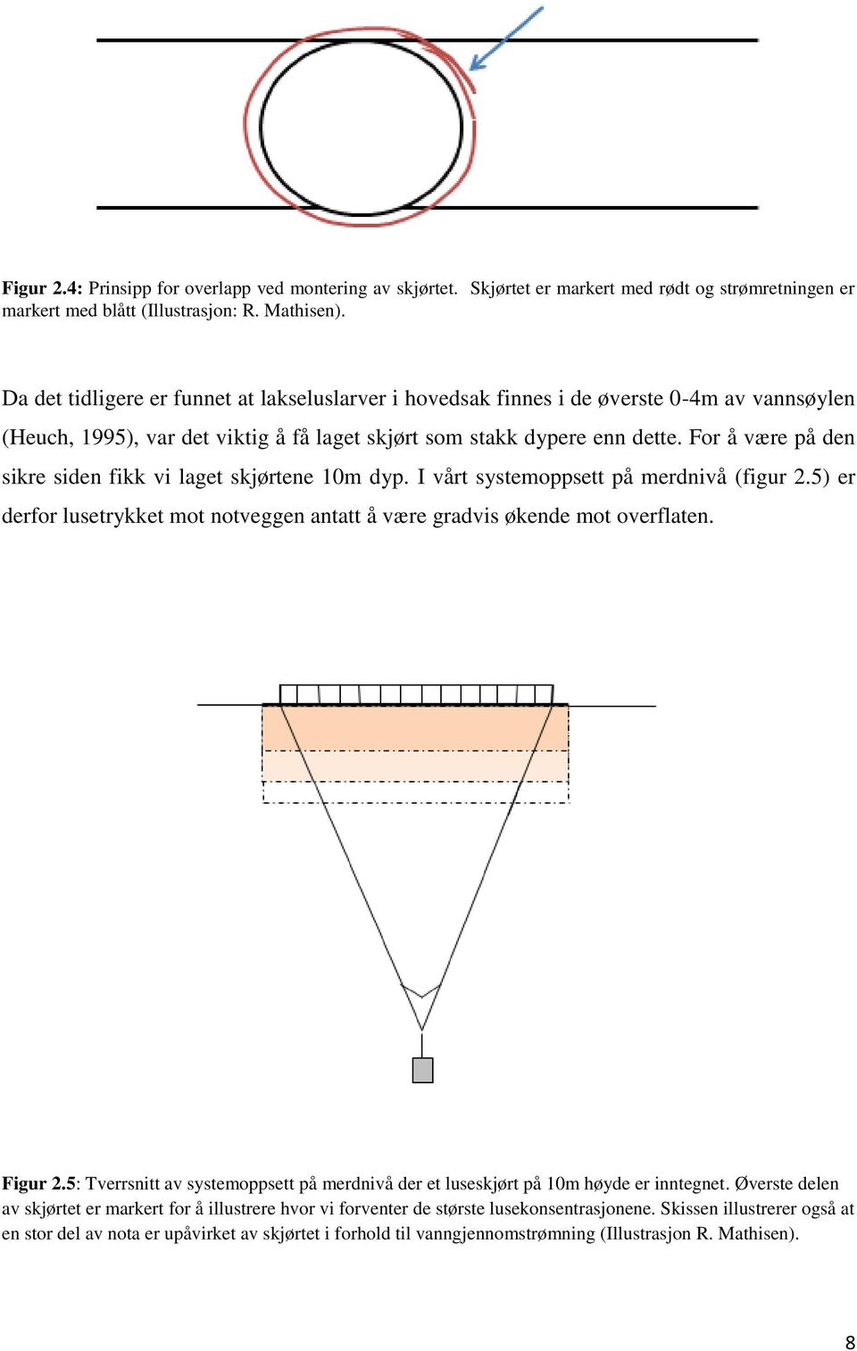 For å være på den sikre siden fikk vi laget skjørtene 10m dyp. I vårt systemoppsett på merdnivå (figur 2.5) er derfor lusetrykket mot notveggen antatt å være gradvis økende mot overflaten. Figur 2.