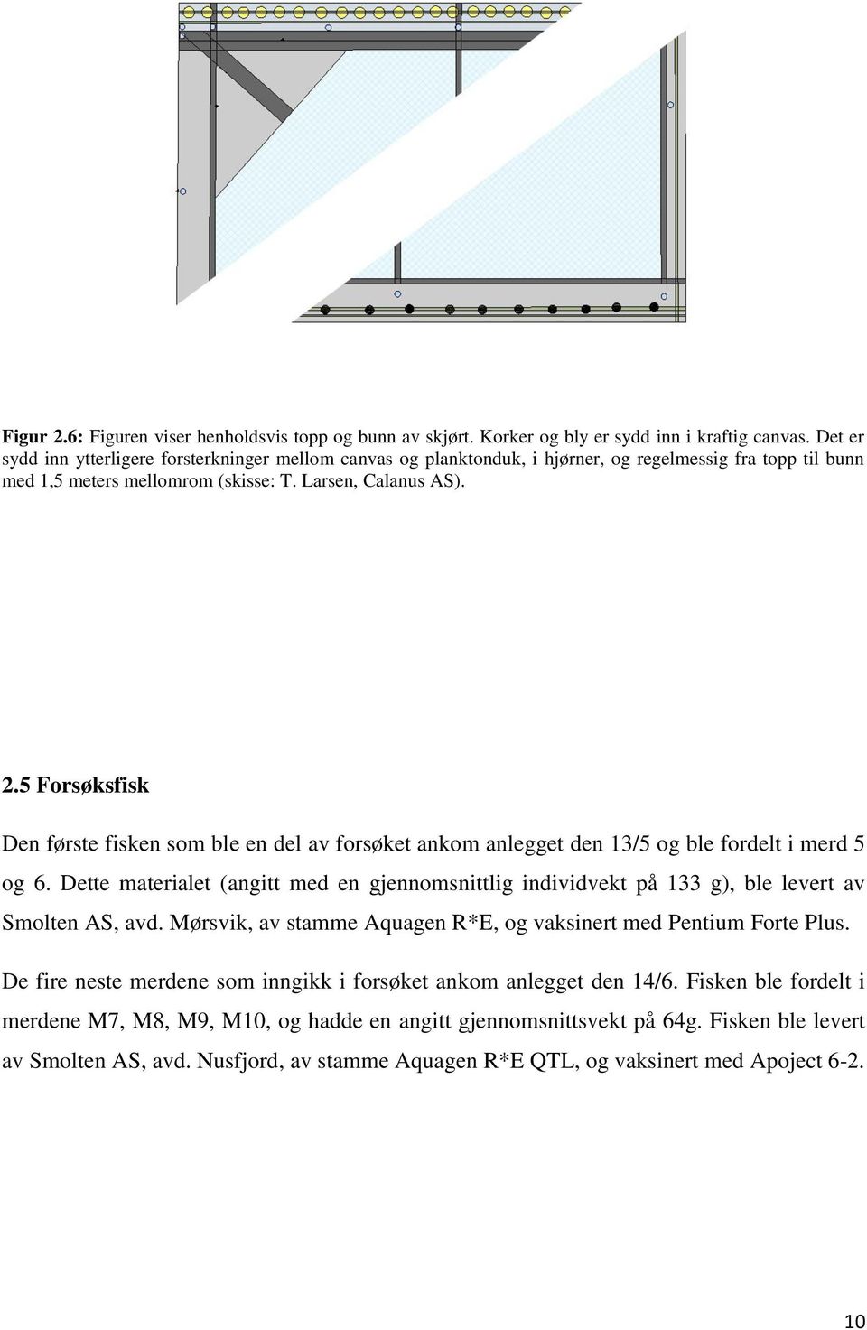 5 Forsøksfisk Den første fisken som ble en del av forsøket ankom anlegget den 13/5 og ble fordelt i merd 5 og 6.