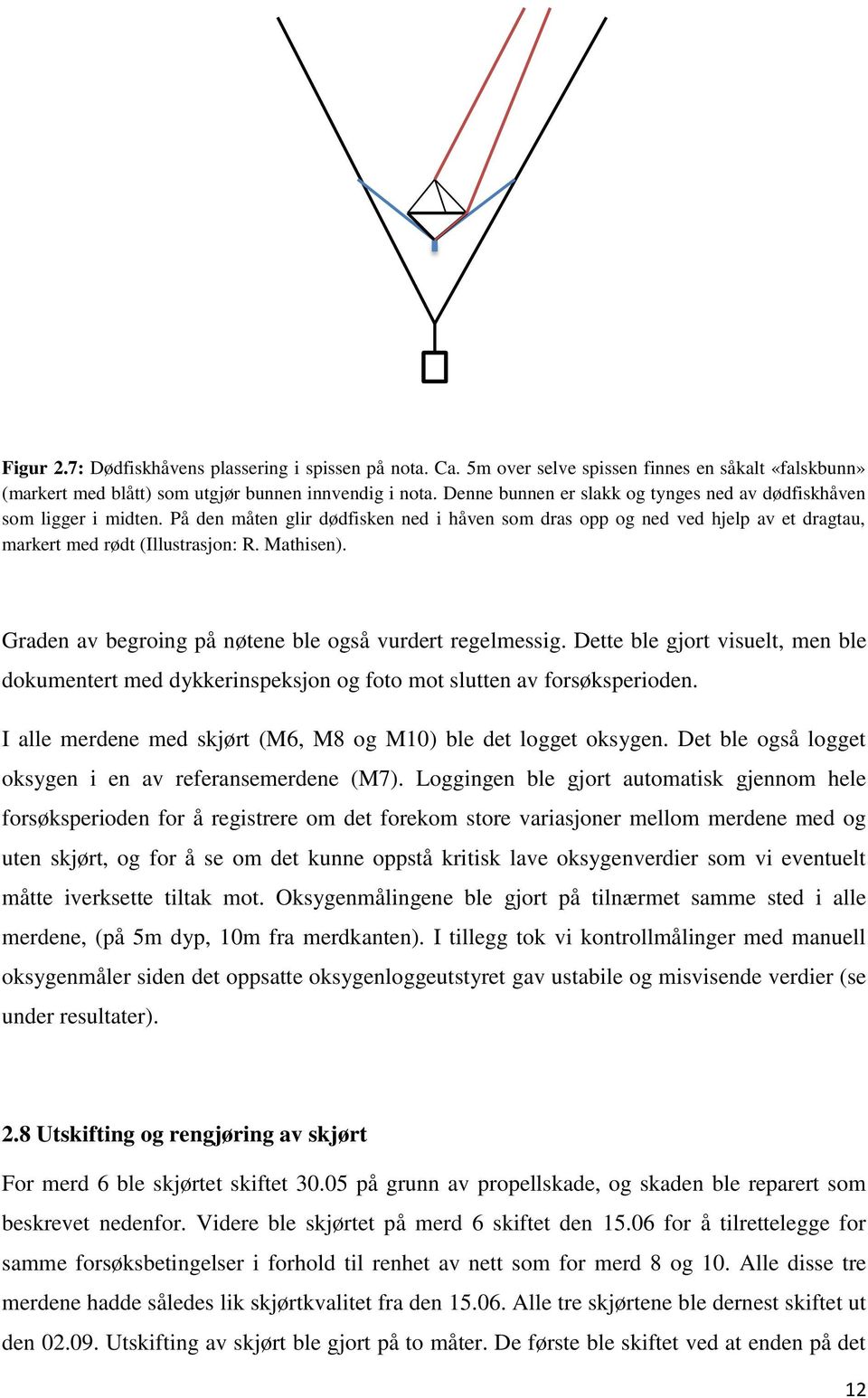 Bruk av «luseskjørt» for å redusere påslag av lakselus Lepeophtheirus  salmonis (Krøyer) på oppdrettslaks - PDF Gratis nedlasting