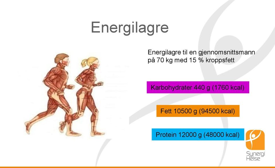 kroppsfett Karbohydrater 440 g (1760