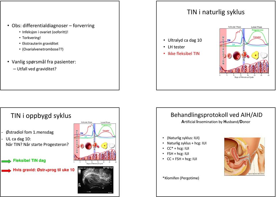 mensdag UL ca dag 10: Når TIN? Når starte Progesteron?