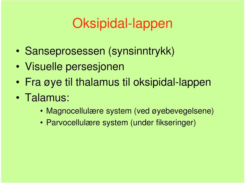 oksipidal-lappen Talamus: Magnocellulære system