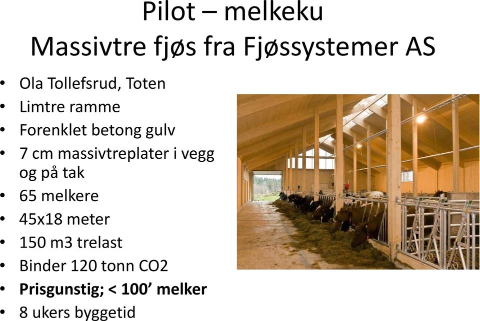 massivtreplater i vegg og på tak 65 melkere 45x18 meter 150