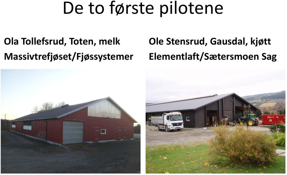 Massivtrefjøset/Fjøssystemer Ole