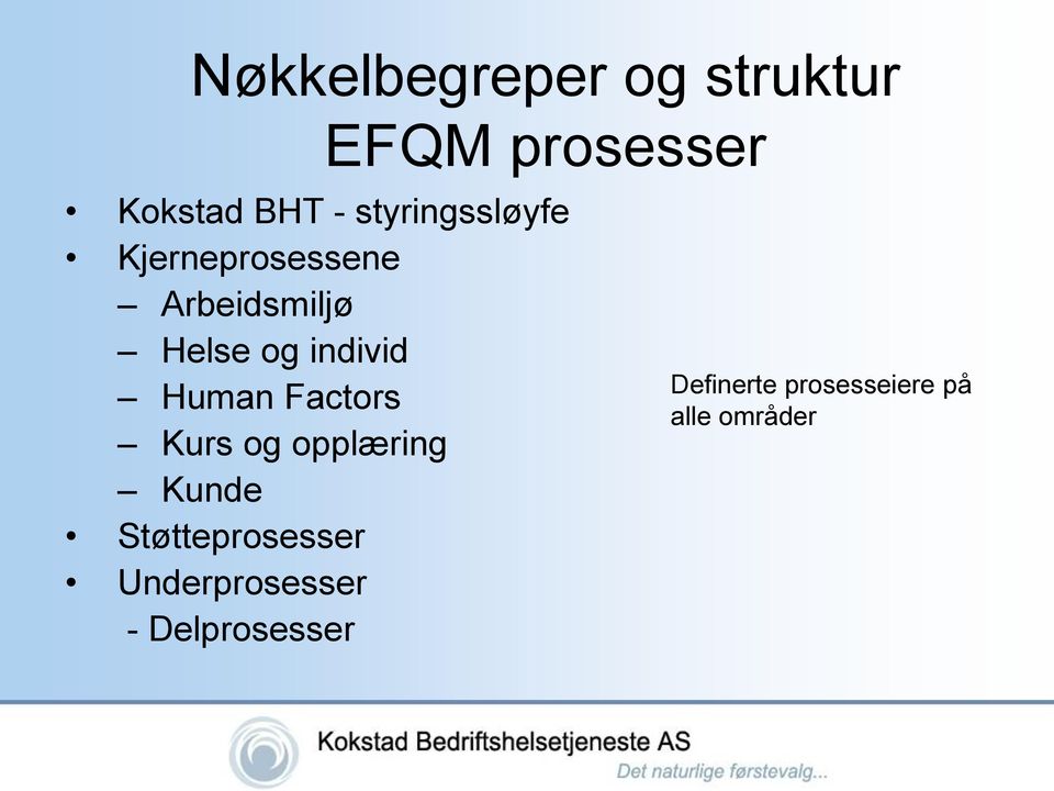 individ Human Factors Kurs og opplæring Kunde