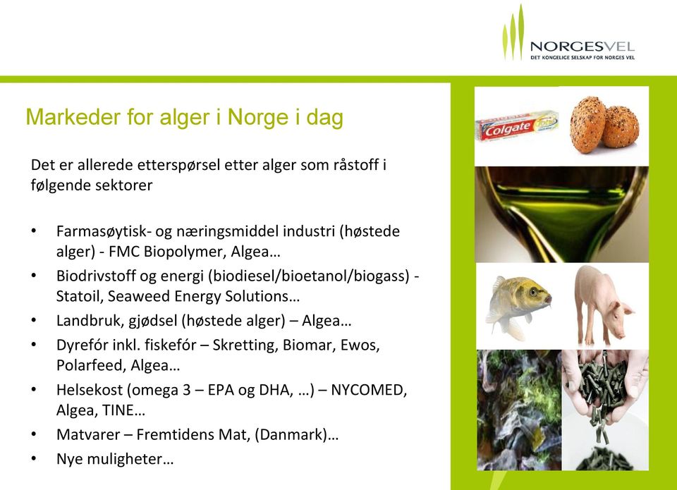 Statoil, Seaweed Energy Solutions Landbruk, gjødsel (høstede alger) Algea Dyrefór inkl.