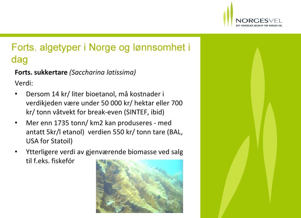 under 50 000 kr/ hektar eller 700 kr/ tonn våtvekt for break-even (SINTEF, ibid) Mer enn 1735 tonn/ km2