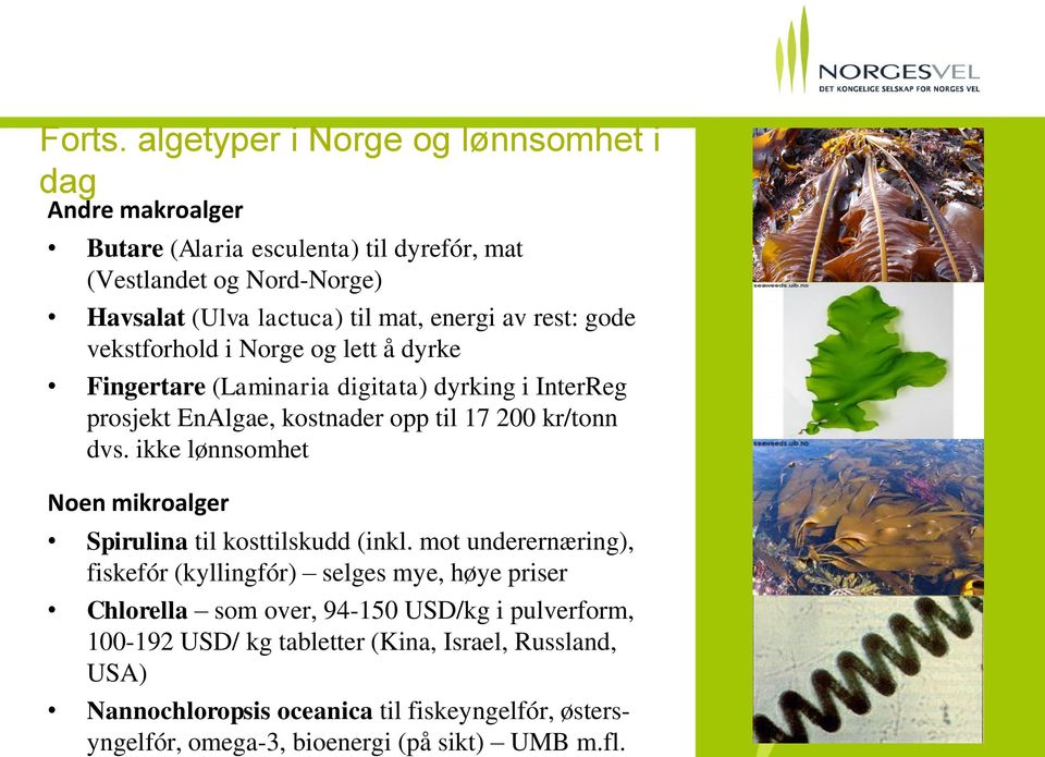 av rest: gode vekstforhold i Norge og lett å dyrke Fingertare (Laminaria digitata) dyrking i InterReg prosjekt EnAlgae, kostnader opp til 17 200 kr/tonn dvs.