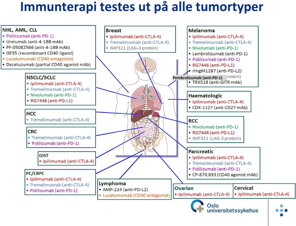 alle tumortyper