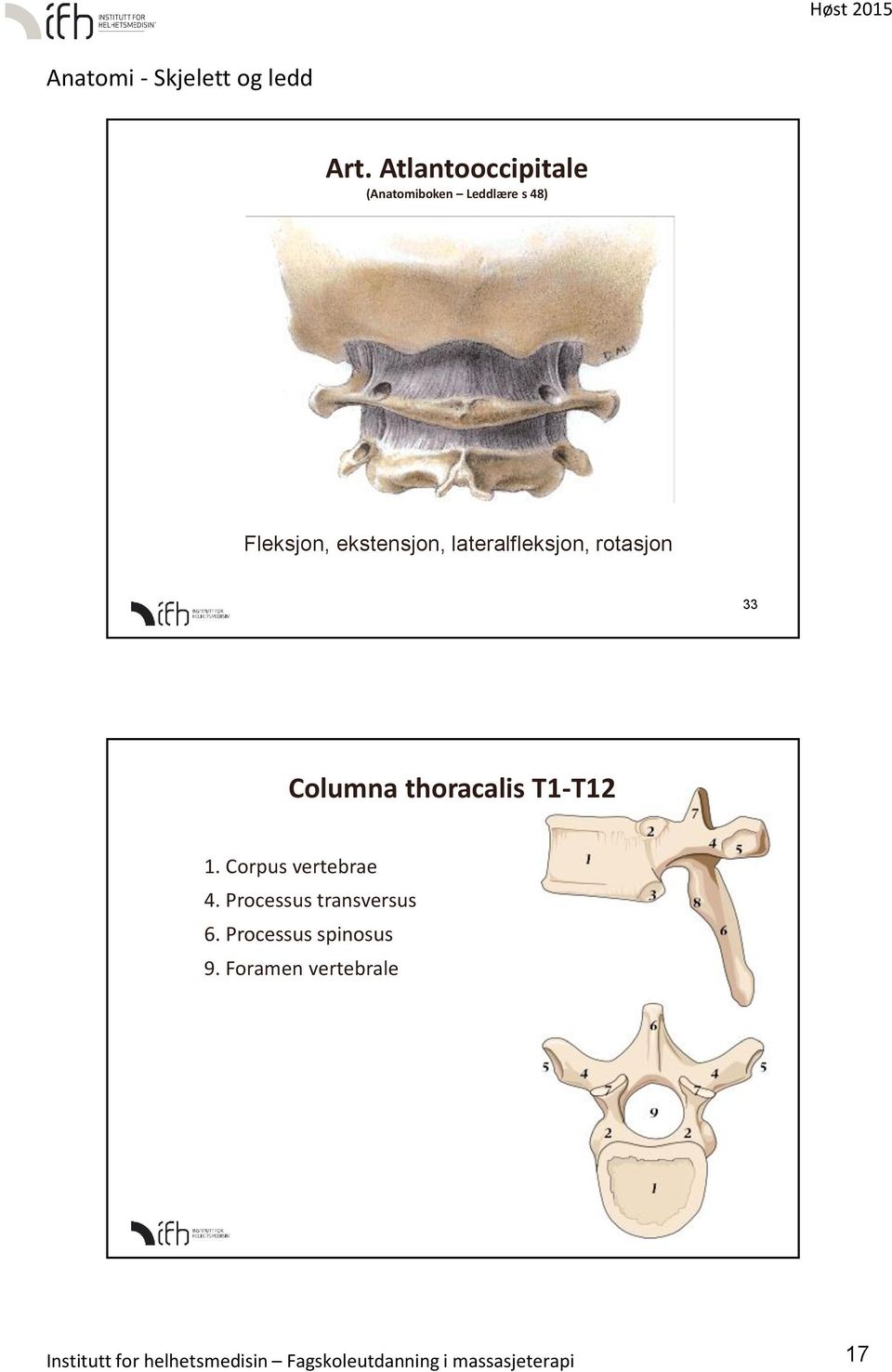 Corpus vertebrae 4. Processus transversus 6. Processus spinosus 9.