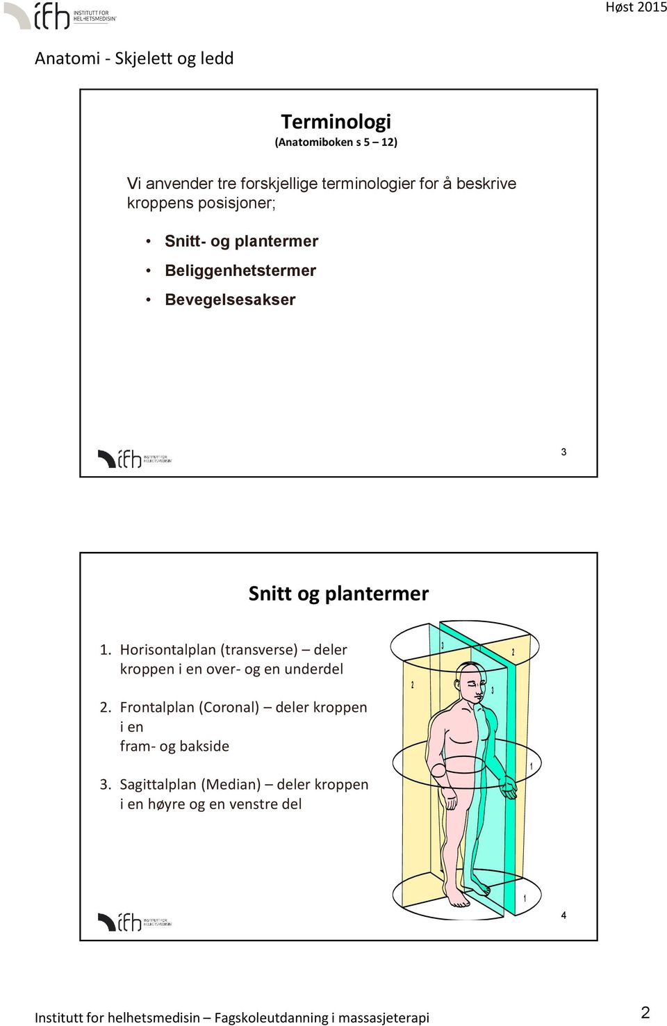 Horisontalplan (transverse) deler kroppen i en over- og en underdel 2.