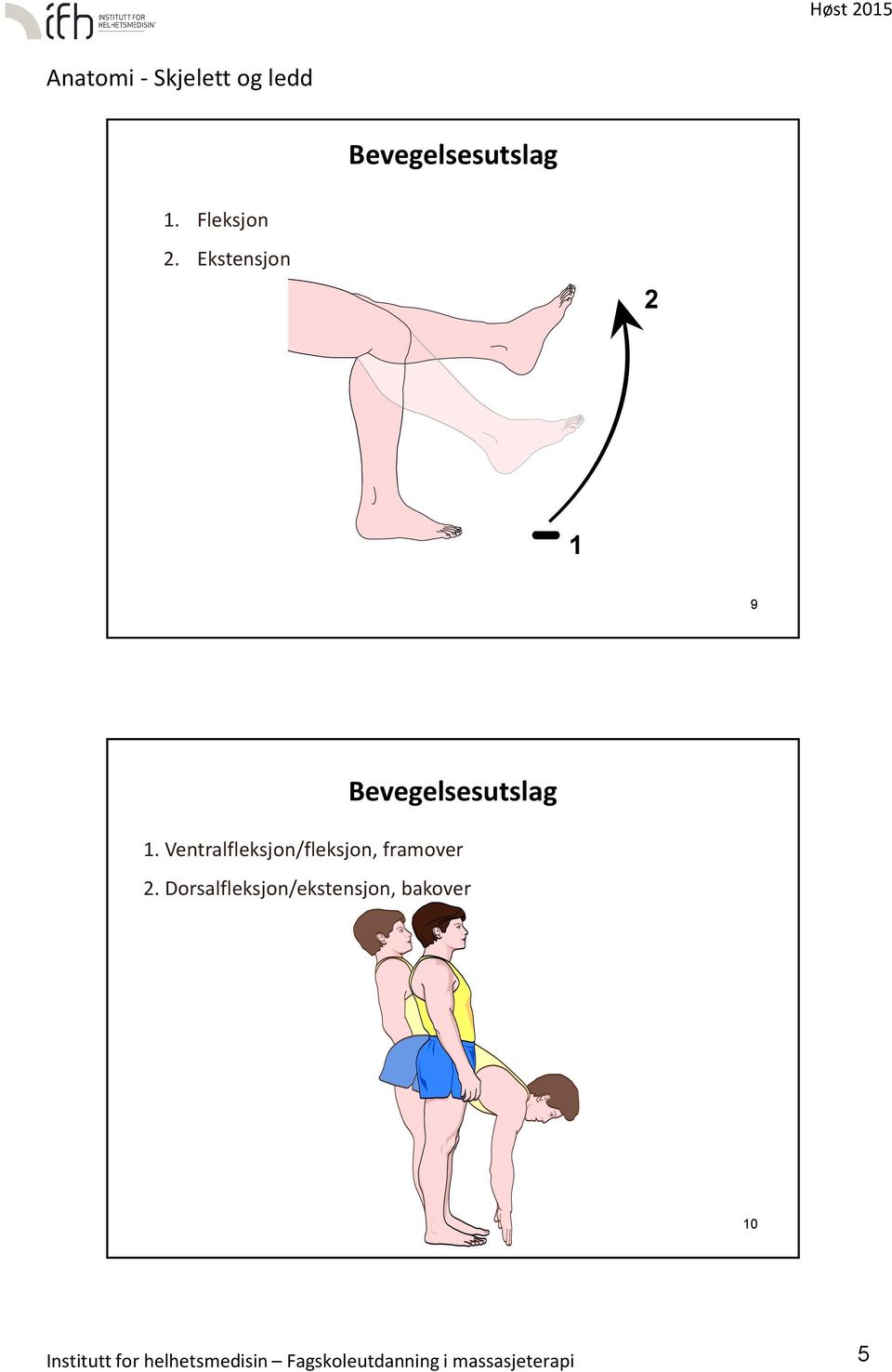 Ventralfleksjon/fleksjon, framover 2.