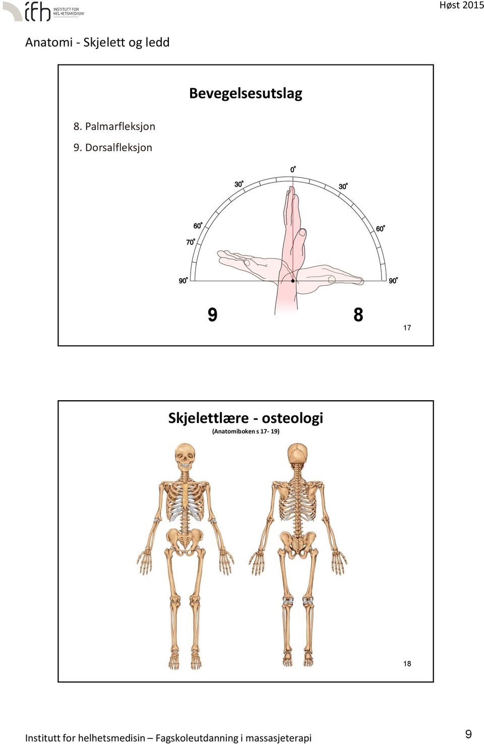 osteologi (Anatomiboken s 17-19) 18