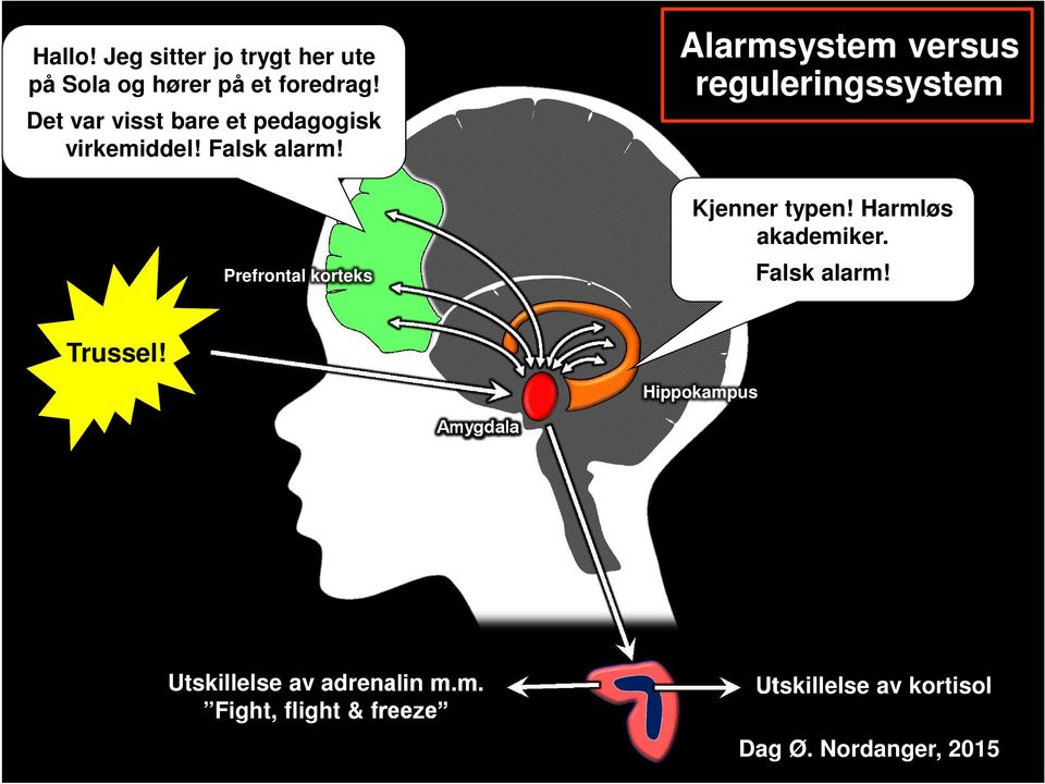 Prefrontal korteks Alarmsystem versus reguleringssystem Kjenner typen!