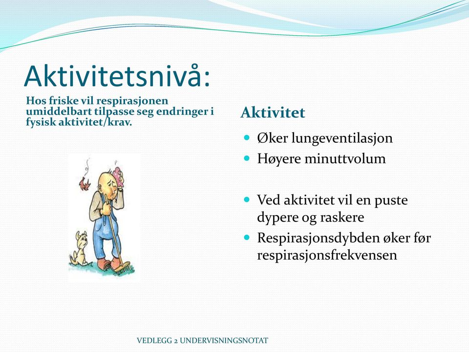 Aktivitet Øker lungeventilasjon Høyere minuttvolum Ved