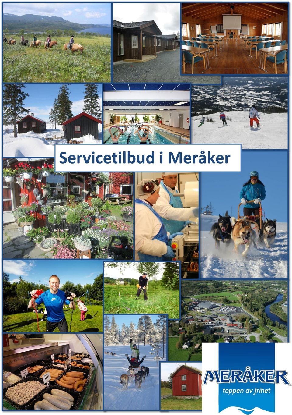 Servicetilbud i Meråker - PDF Gratis nedlasting