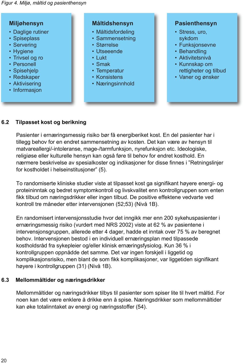 Sammensetning Størrelse Utseeende Lukt Smak Temperatur Konsistens Næringsinnhold Pasienthensyn Stress, uro, sykdom Funksjonsevne Behandling Aktivitetsnivå Kunnskap om rettigheter og tilbud Vaner og