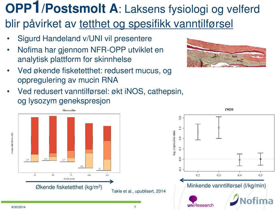 fisketetthet: redusert mucus, og oppregulering av mucin RNA Ved redusert vanntilførsel: økt inos, cathepsin, og