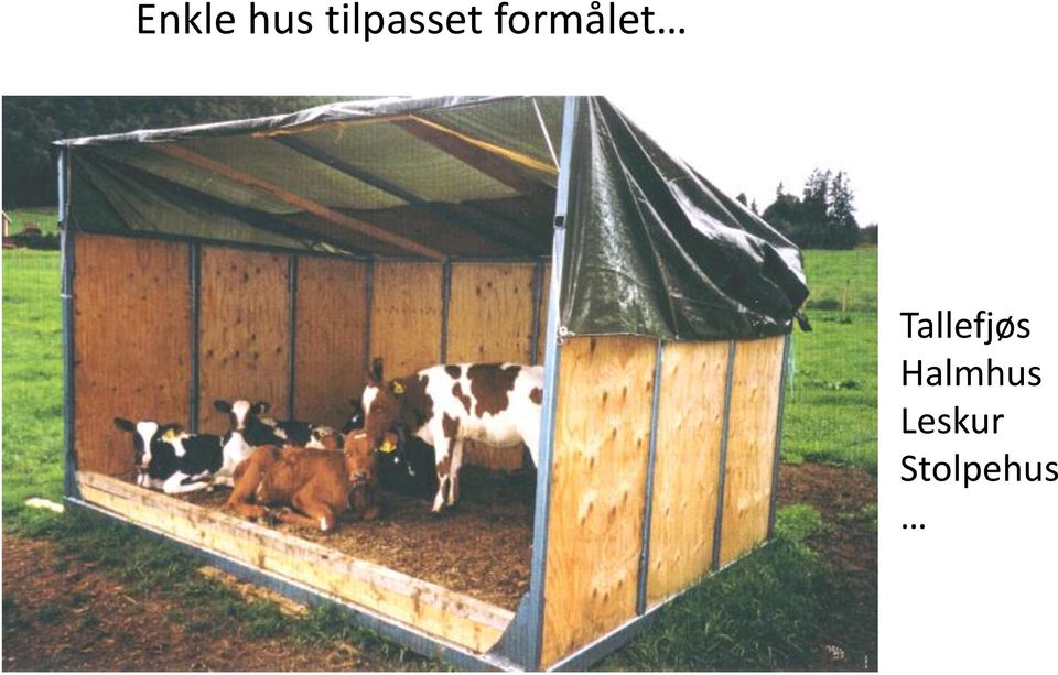 formålet