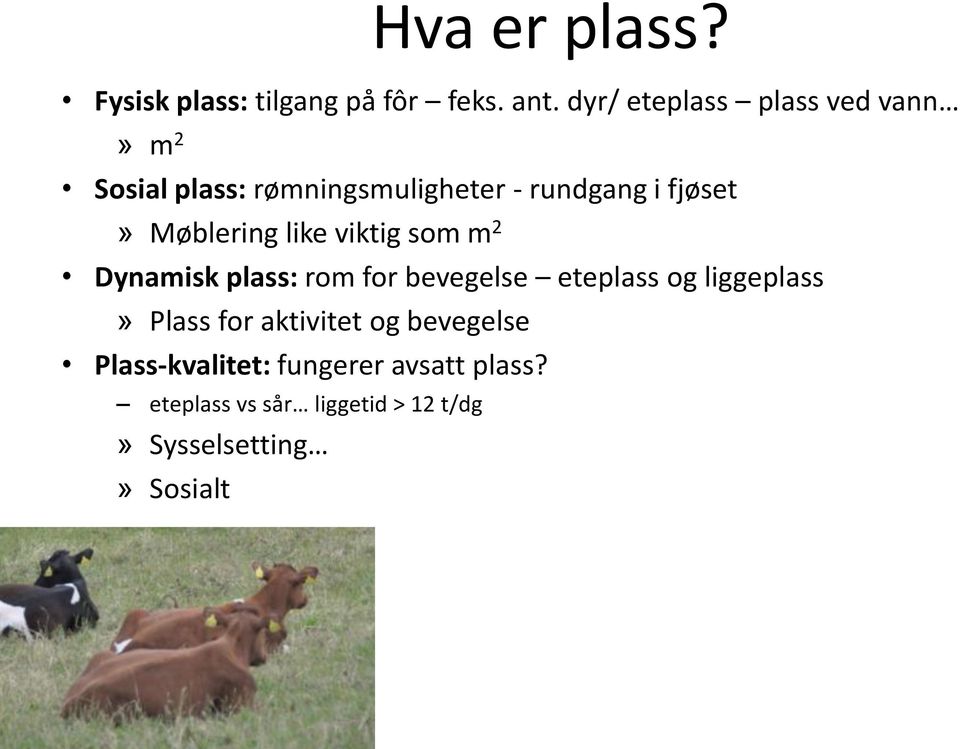 Møblering like viktig som m 2 Dynamisk plass: rom for bevegelse eteplass og liggeplass»