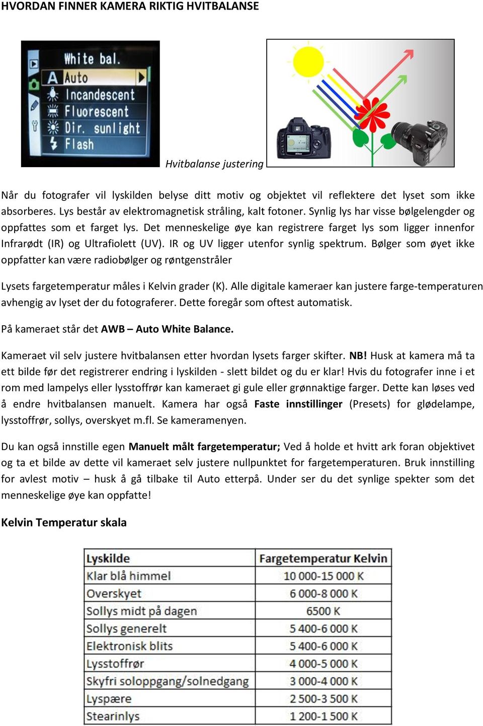 Det menneskelige øye kan registrere farget lys som ligger innenfor Infrarødt (IR) og Ultrafiolett (UV). IR og UV ligger utenfor synlig spektrum.