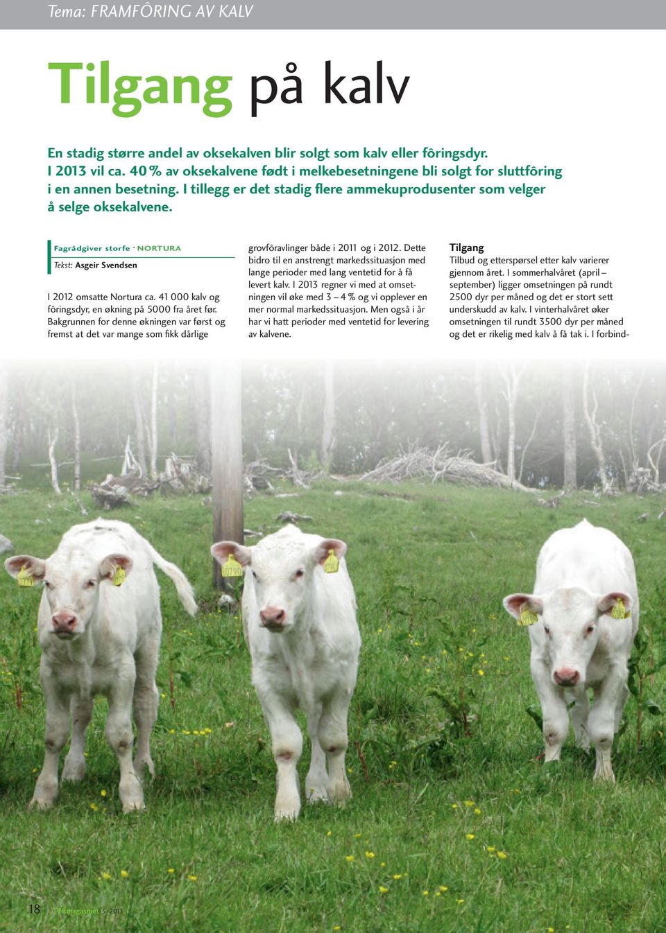 Fagrådgiver storfe NORTURA Tekst: Asgeir Svendsen I 2012 omsatte Nortura ca. 41 000 kalv og fôringsdyr, en økning på 5000 fra året før.