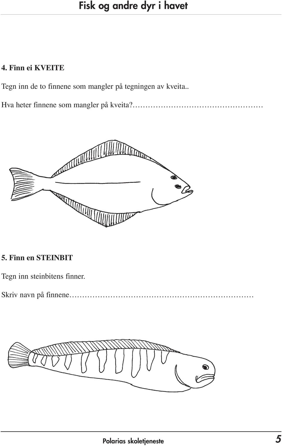 . Hva heter finnene som mangler på kveita? 5.