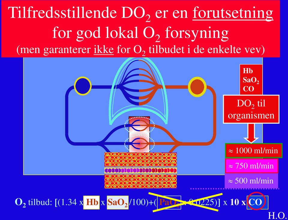 Hb SaO 2 CO DO 2 til organismen 1000 ml/min 750 ml/min 500 ml/min