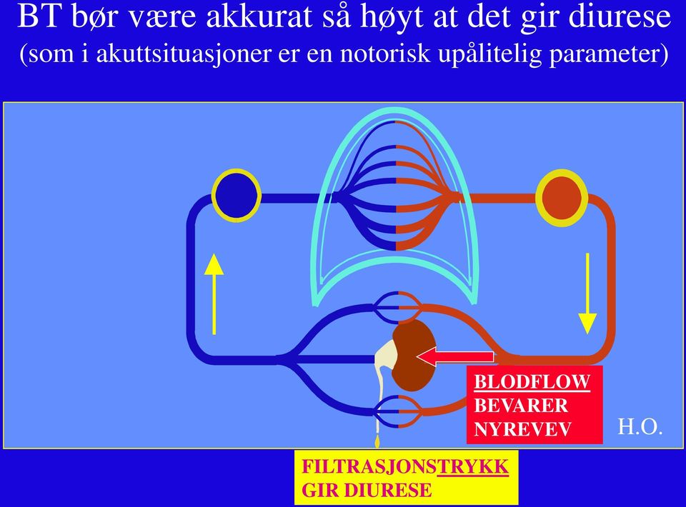 notorisk upålitelig parameter) BLODFLOW