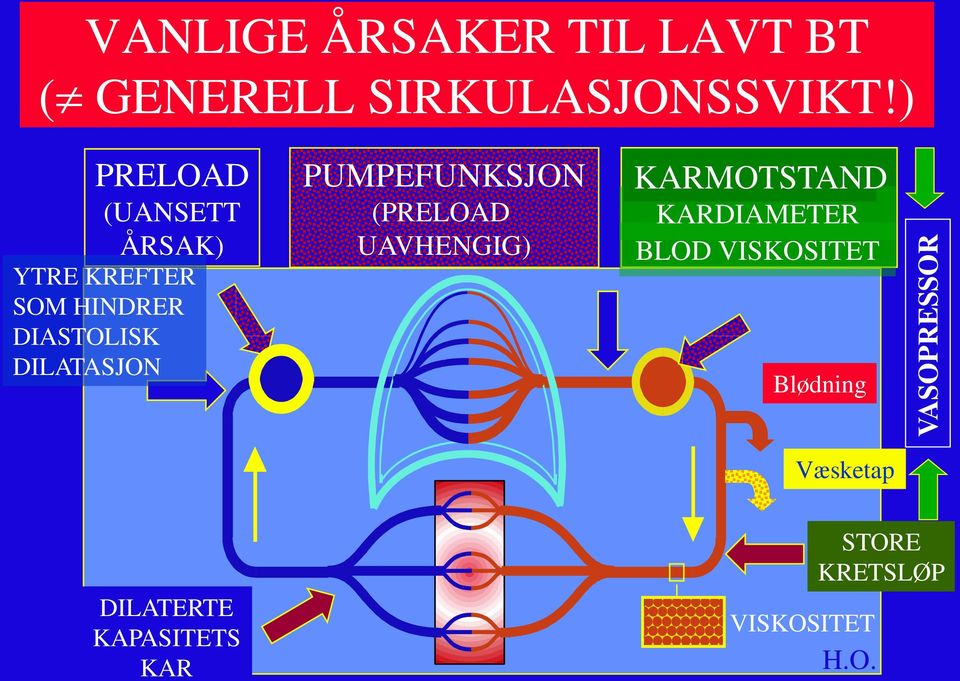 PUMPEFUNKSJON (PRELOAD UAVHENGIG) KARMOTSTAND KARDIAMETER BLOD