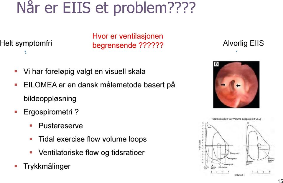 EILOMEA er en dansk målemetode basert på bildeoppløsning! Ergospirometri?