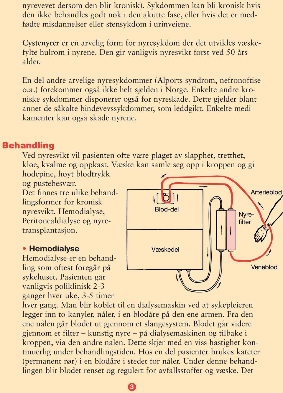 En del andre arvelige nyresykdommer (Alports syndrom, nefronoftise o.a.) forekommer også ikke helt sjelden i Norge. Enkelte andre kroniske sykdommer disponerer også for nyreskade.