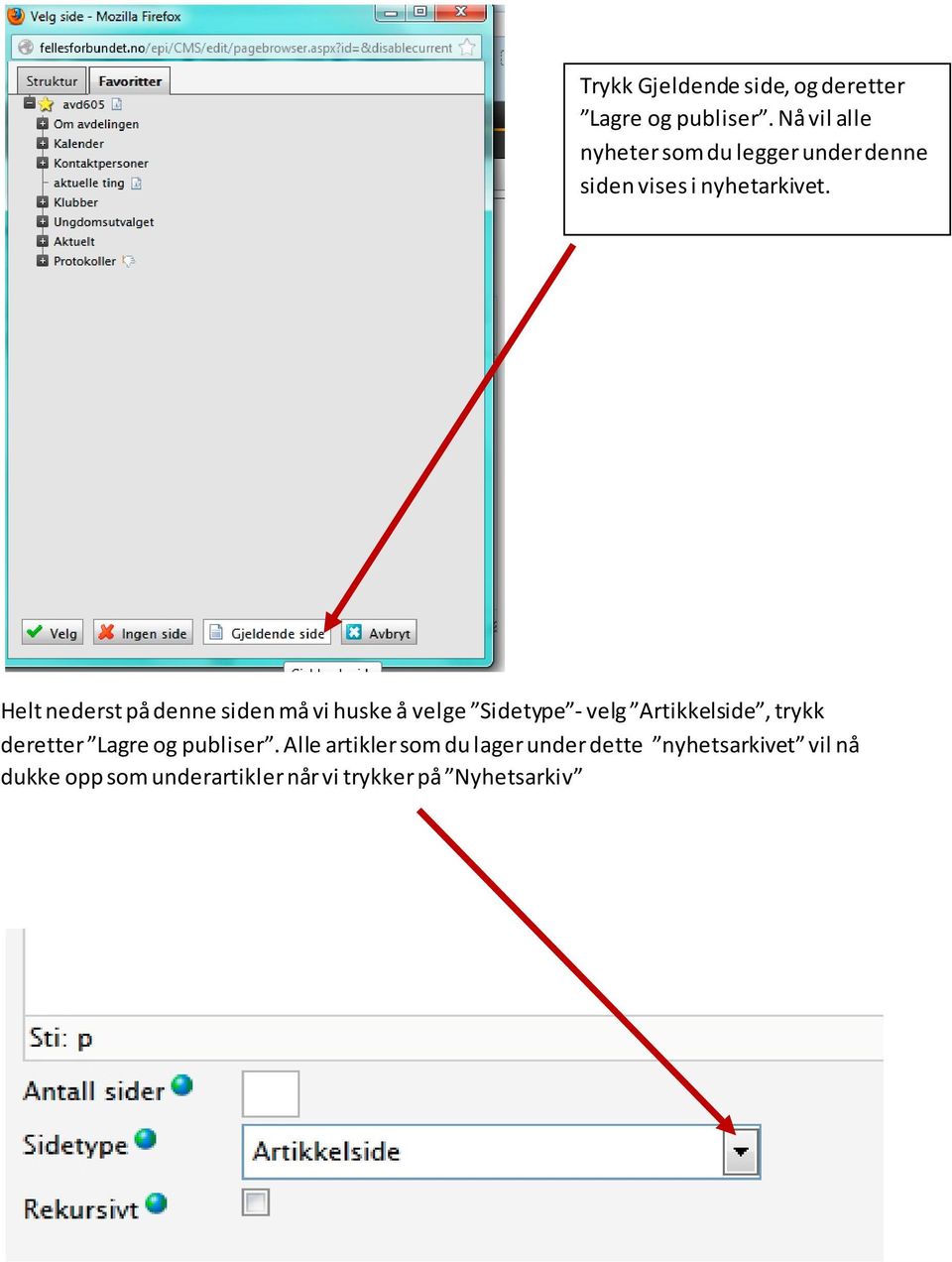 Helt nederst på denne siden må vi huske å velge Sidetype - velg Artikkelside, trykk