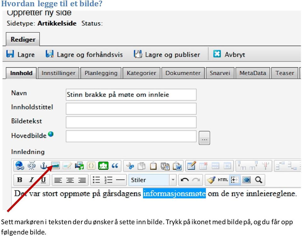 ønsker å sette inn bilde.