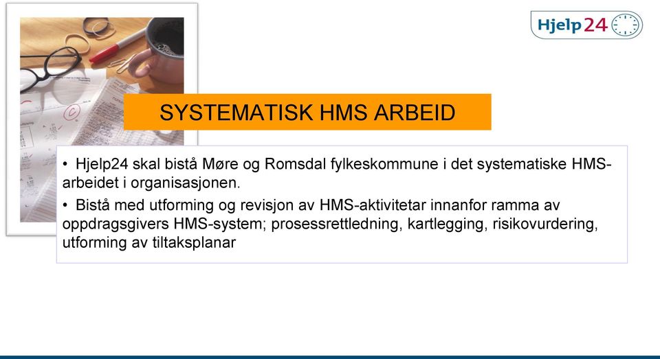 Bistå med utforming og revisjon av HMS-aktivitetar innanfor ramma av