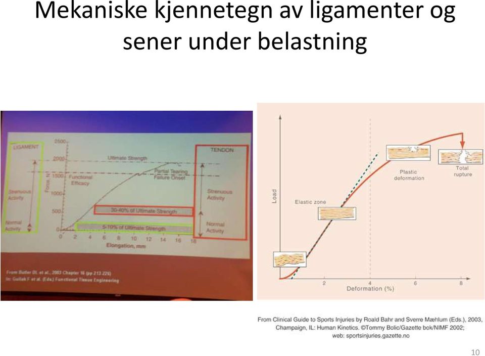 ligamenter og