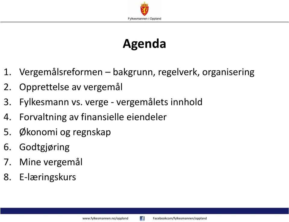 Opprettelse av vergemål 3. Fylkesmann vs.